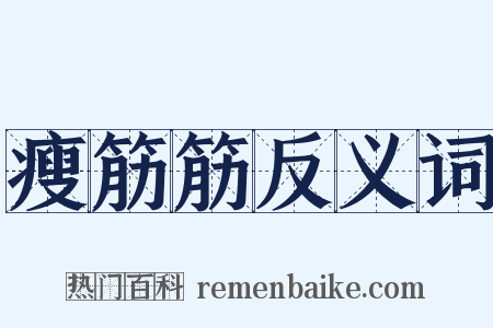 瘦筋筋反义词是什么意思的图片